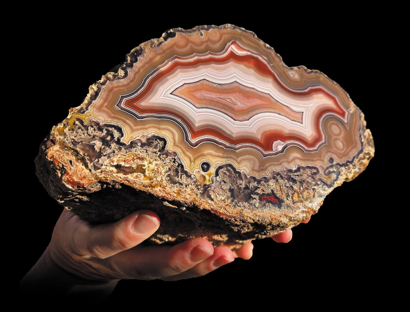 Der Traum eines jeden Achatsammlers: ein enormer, etwa 6 kg schwerer Achat von der Conejeros Mine, Ojo Laguna.