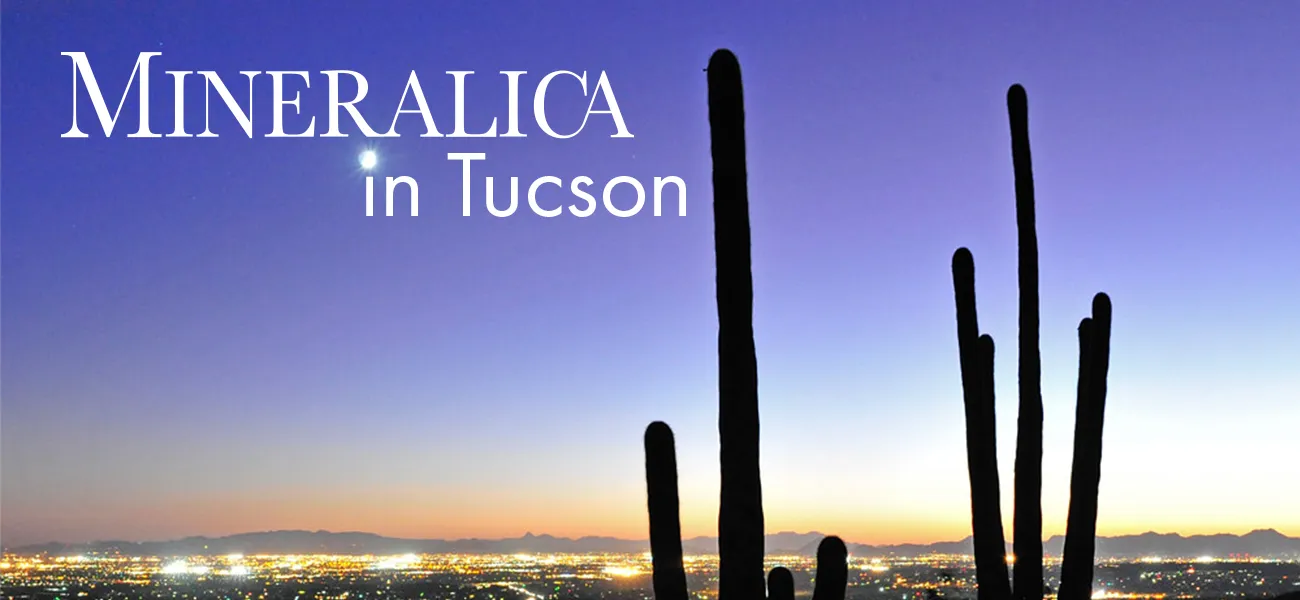 The saguaro cactus is the symbol of Tucson. These can reach up to 12 metres in height.