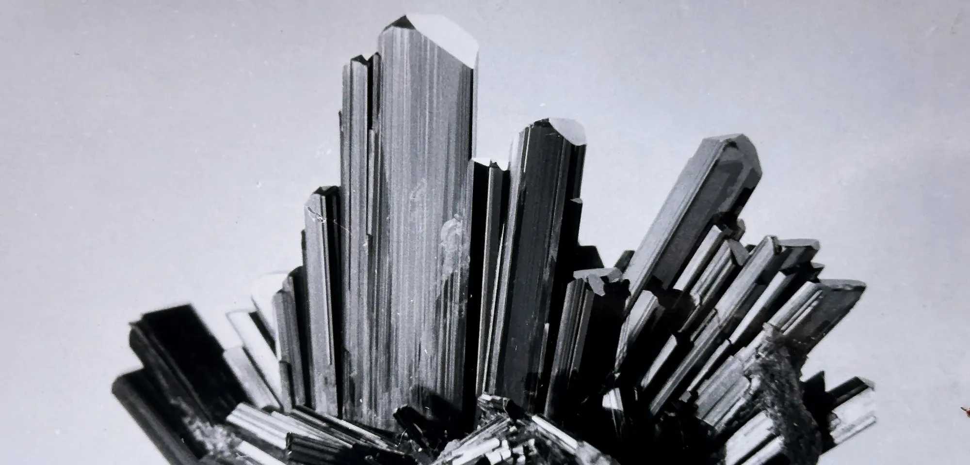 Bereits vor über hundert Jahren waren die Epidote der Knappenwand bei Museen und Sammlern begehrt. Dieses Exemplar wurde sogar auf einer Postkarte abgedruckt.