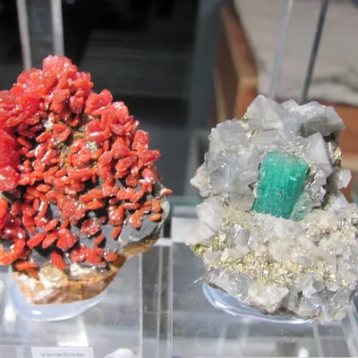 Mineralientage Düsseldorf 1