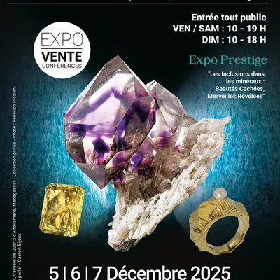 Minéral Expo Paris 1