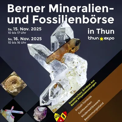 Berner Mineralien- und Fossilienbörse 1