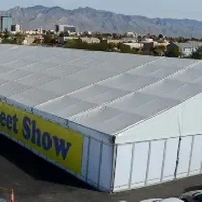22nd Street Mineral, Fossil, Gem & Jewelry Show 1
