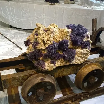 EuroMineral Expo Torino 5