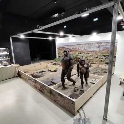 Bologna Mineral Show 1