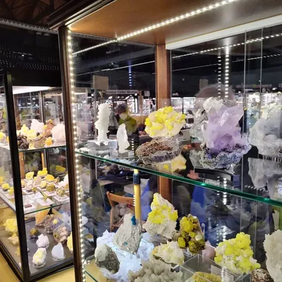 Bologna Mineral Show 2