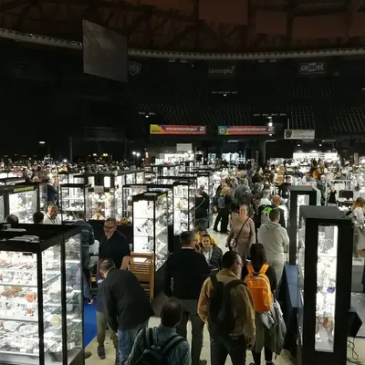 Bologna Mineral Show 3