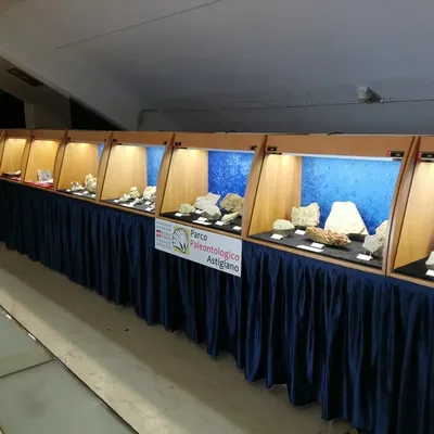 Bologna Mineral Show 4